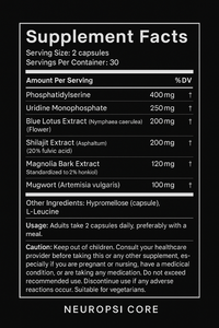 NeuroPSI CORE